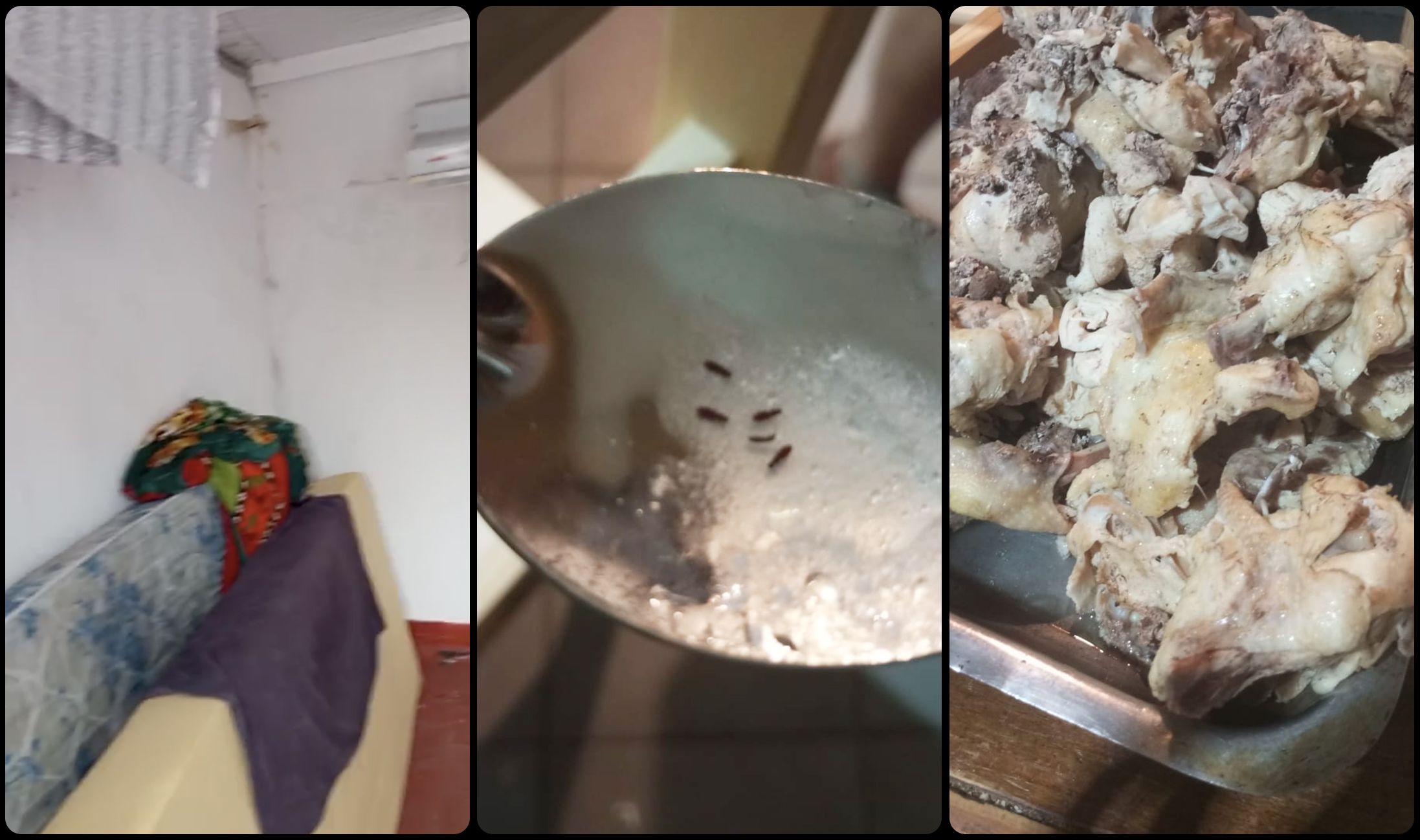 阿根廷足球梦工厂:青训体系背后的残酷真相
